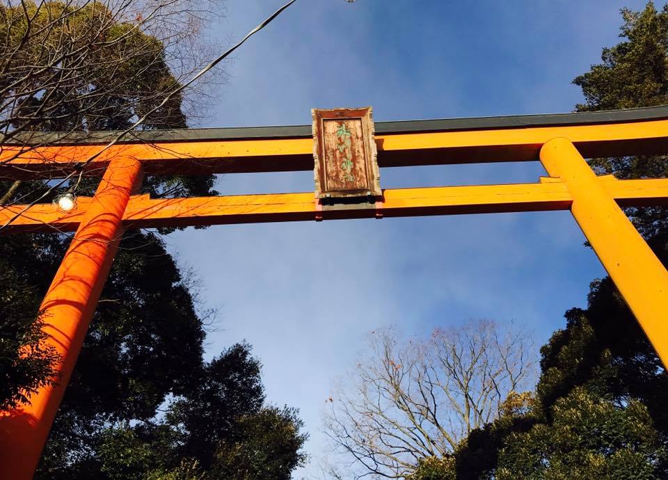 川越氷川神社　初詣